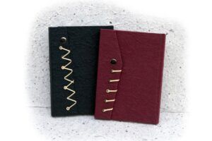 PROMOSET27