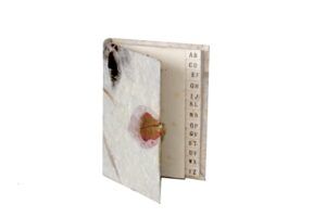 1024 AGENDA MINI