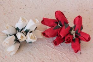 LAS1306 ROSA