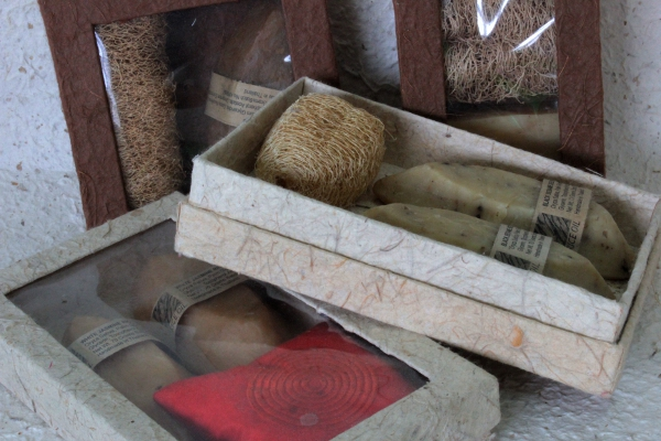 LOTE02 LOTE02