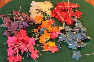 Flores