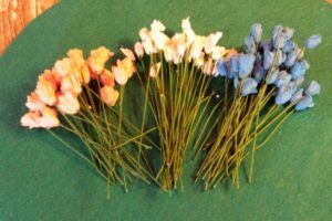 Flores