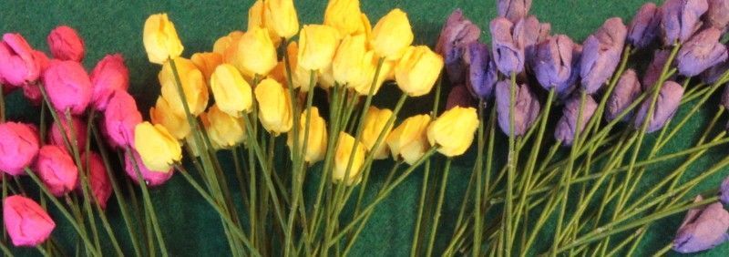 LAS1802 FLORES LAS1802 FLORES