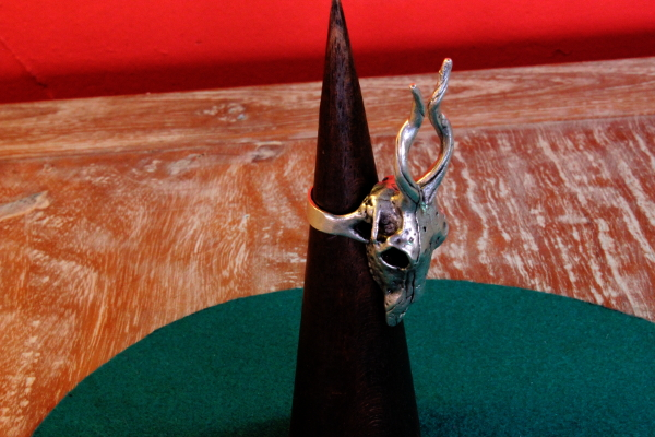 Anillos Anillos