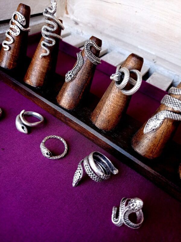 ET2113 ANILLO
