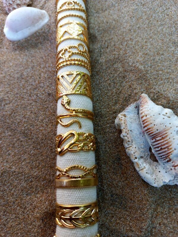 BX2232 ANILLOS